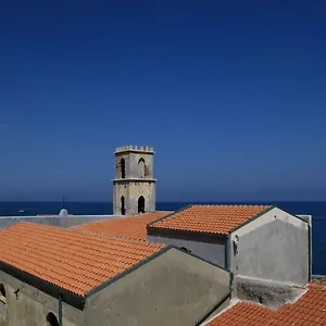 Blue Coral Italia